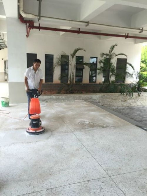 專業(yè)清潔與除四害服務 打造健康潔凈的生活與工作環(huán)境